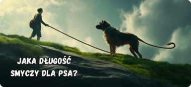 Jaka jest najlepsza długość smyczy dla psa?